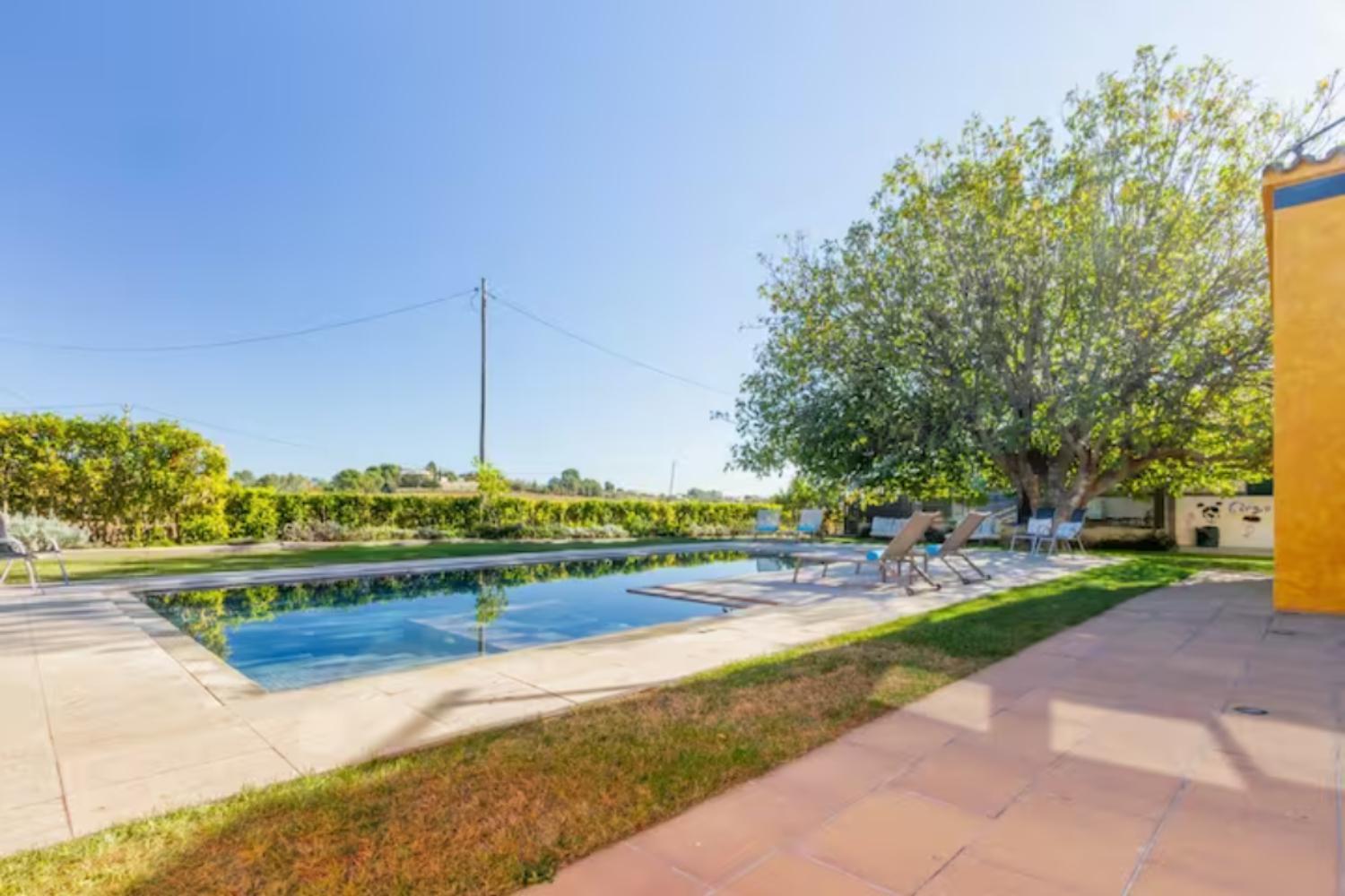 Masia Cal Sisplau, Con Piscina Y Rodeada De Vinedos A 10 Minutos De Vilafranca Del Penedes, Barcelona ,Cataluna San Martín Sarroca Eksteriør billede